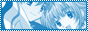 Blank Button